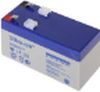 D4 - 1.33Ah Battery